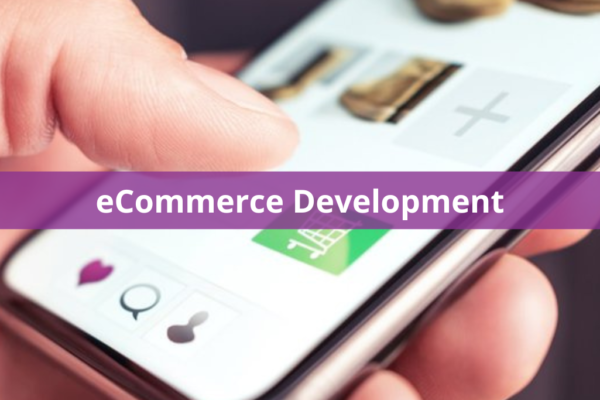 eCommerce Channel Development