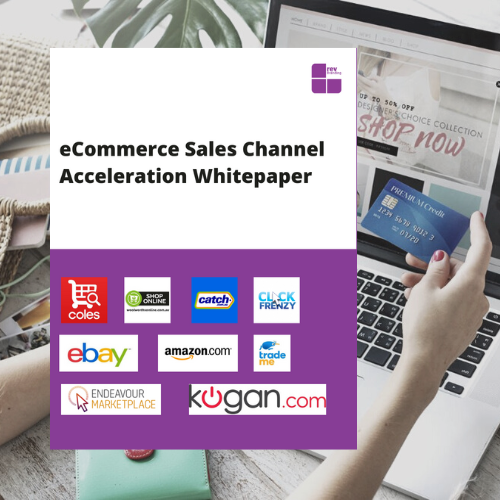 eCommerce marketing and digital sales channel free whitepaper
